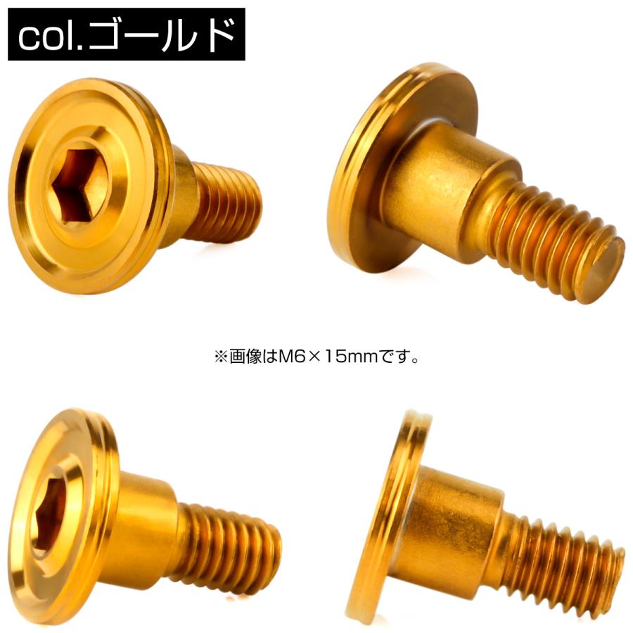 段付きボルト M6×15mm P1.00 円筒部直径8mm ボタンボルト 薄型 六角穴 デザインヘッド フラット マット ゴールド TR1142 | ブランド登録なし | 02