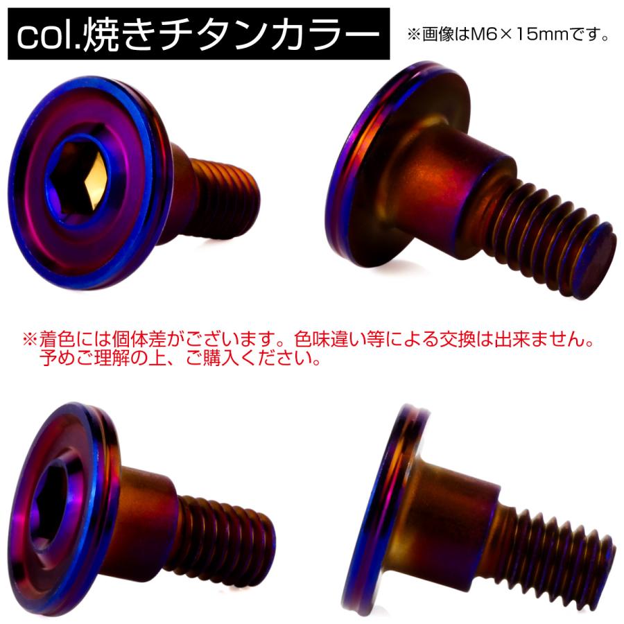 段付きボルト M6×15mm P1.00 円筒部直径8mm ボタンボルト 薄型 六角穴 デザインヘッド フラット マット 焼きチタン TR1145 | ブランド登録なし | 02