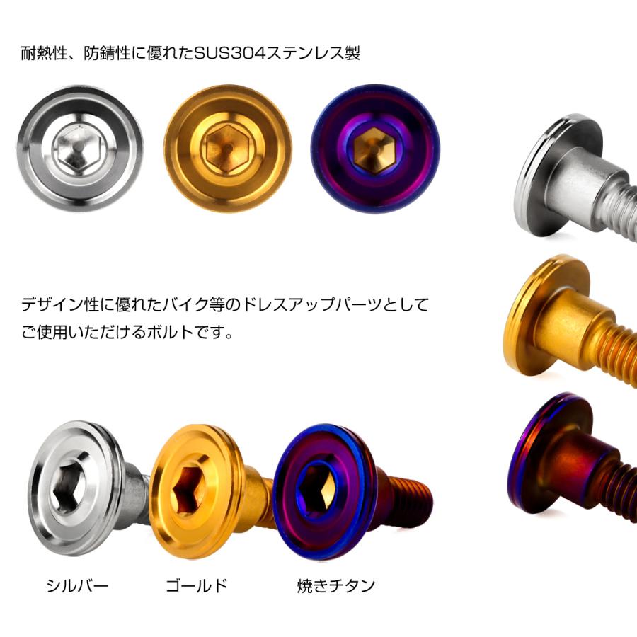 段付きボルト M6×15mm P1.00 円筒部直径8mm ボタンボルト 薄型 六角穴 デザインヘッド フラット マット 焼きチタン TR1145 | ブランド登録なし | 03