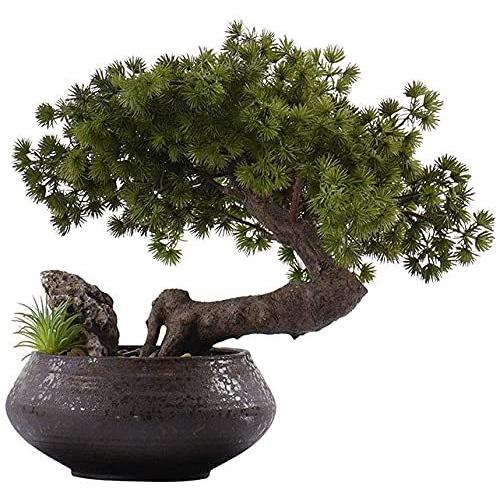 オンラインストア正本 鉢植えの家の植物中国人工杉の人工盆栽の装飾品 ホームポーチマイクロ風景緑の植物セラミック鉢植えの人工 値下げ 特価 Upliftingstar Com