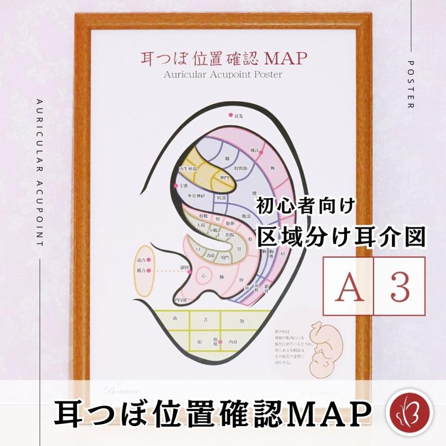 Beautear Beauter 耳つぼポスター 位置確認 初心者向け カラー Beautear Beauter 耳つぼポスター 位置確認 初心者向け カラー
