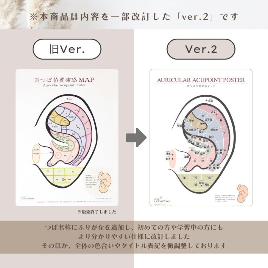 Beautear（ビューティア） 耳つぼポスター 耳つぼ位置 耳つぼマップ A3