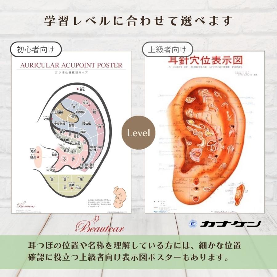 Beautear（ビューティア） 耳つぼポスター 耳つぼ位置 耳つぼマップ A3
