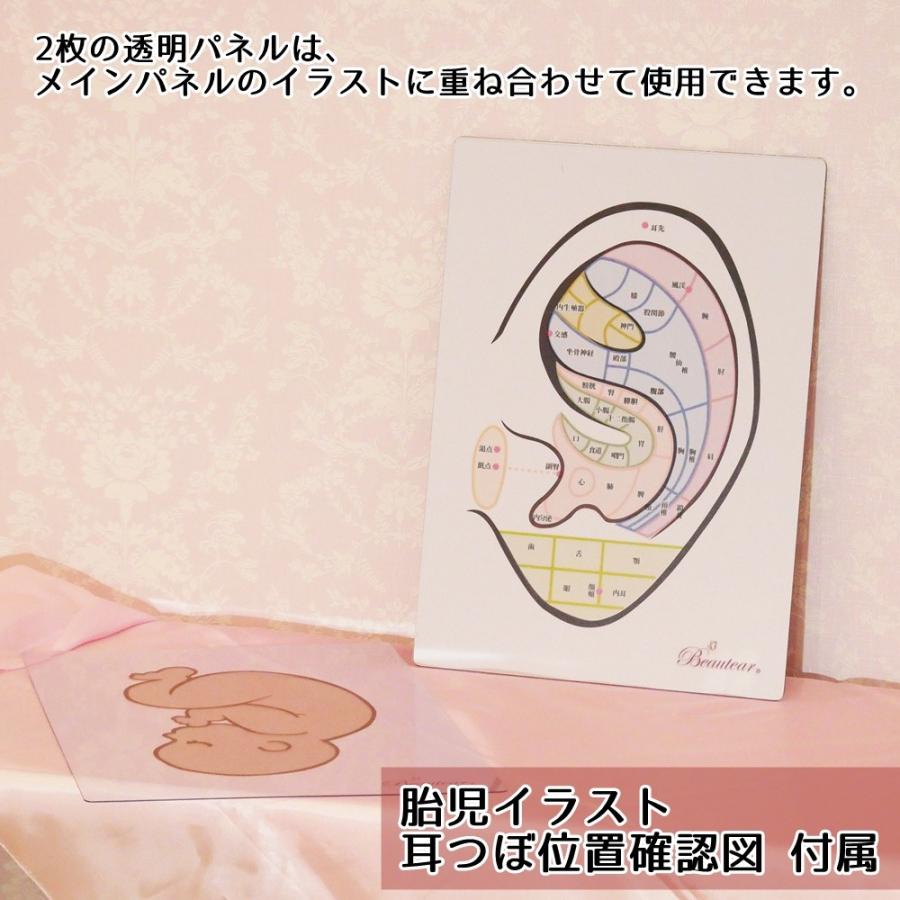 格安 1点3枚組セット 耳つぼ専用 パネル ホワイトボード クリアパネル 講座用ボード 耳イラスト 耳つぼ Beautear 最安値 Swinsonmedical Com