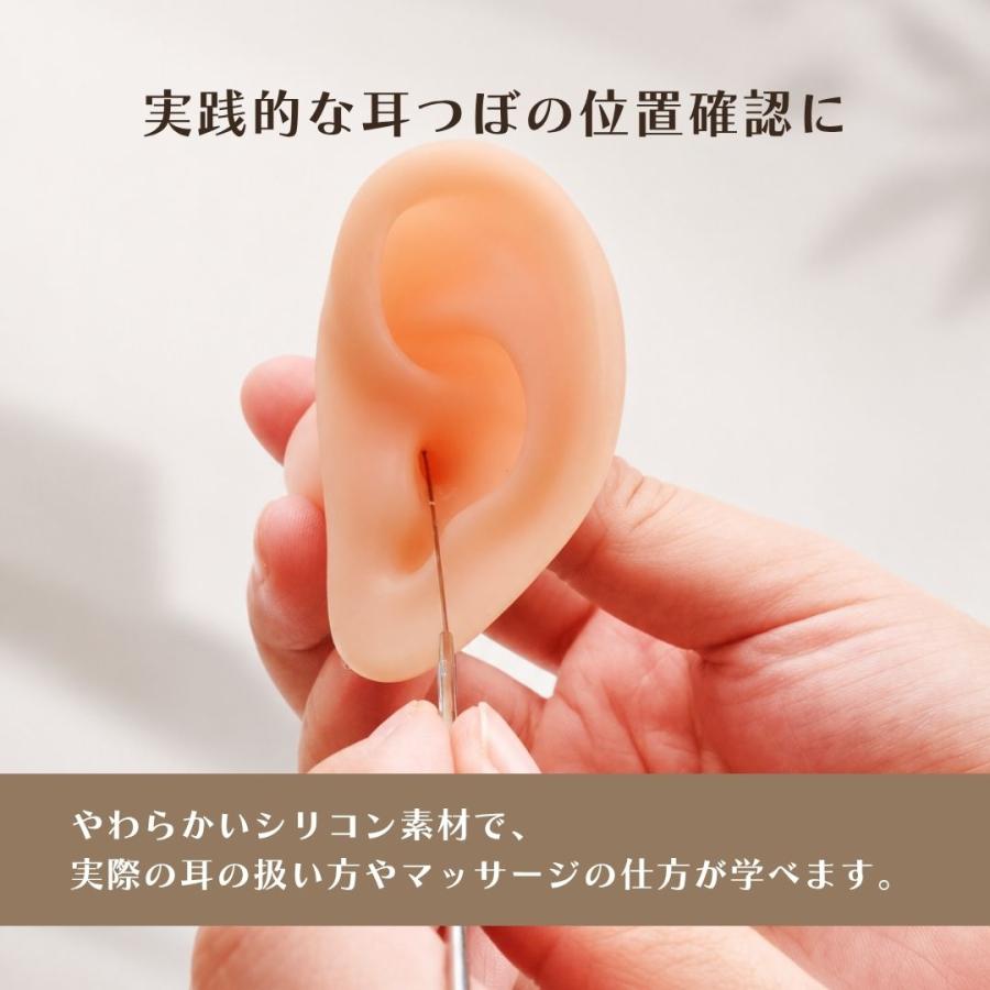 Beautear（ビューティア） シリコン耳模型 両耳セット 耳モデル 施術