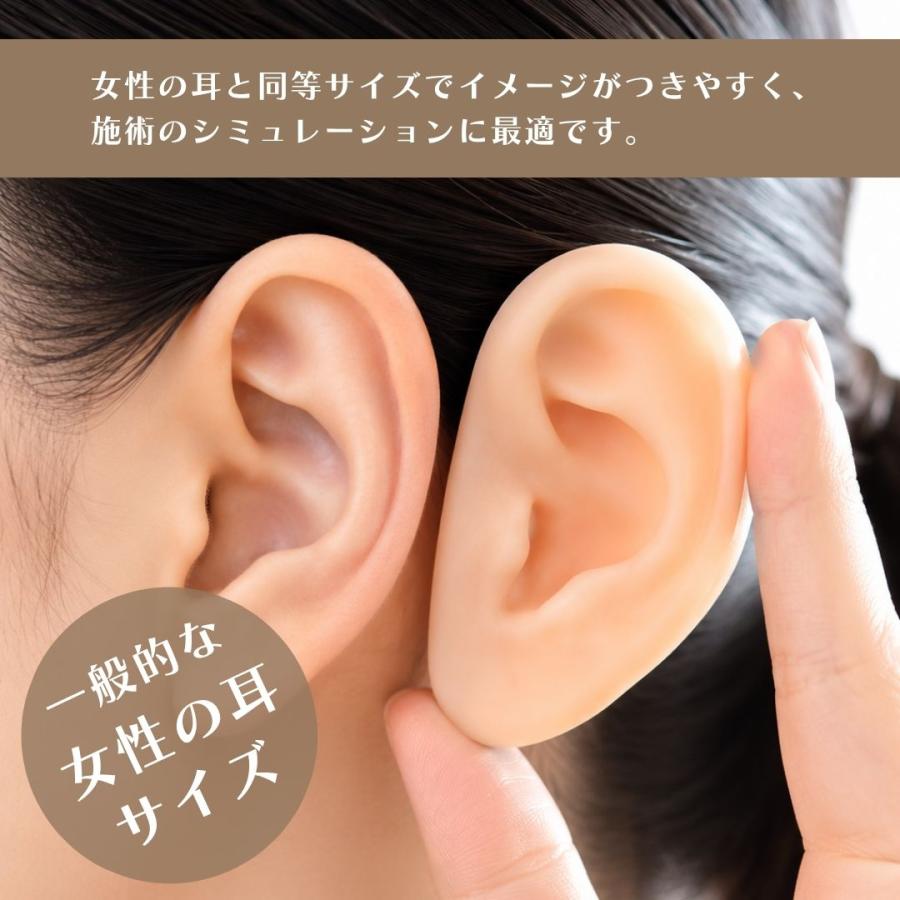 耳つぼアクセサリーセット・すぐ施術できる・未使用パーツもあ Beautear（ビューティア） シリコン耳模型 両耳セット 耳モデル 施術