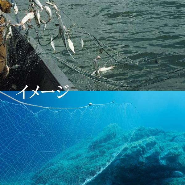 刺網（建網）1.5m×70m 白 刺し網 魚網 フィッシングネット : アーリー 