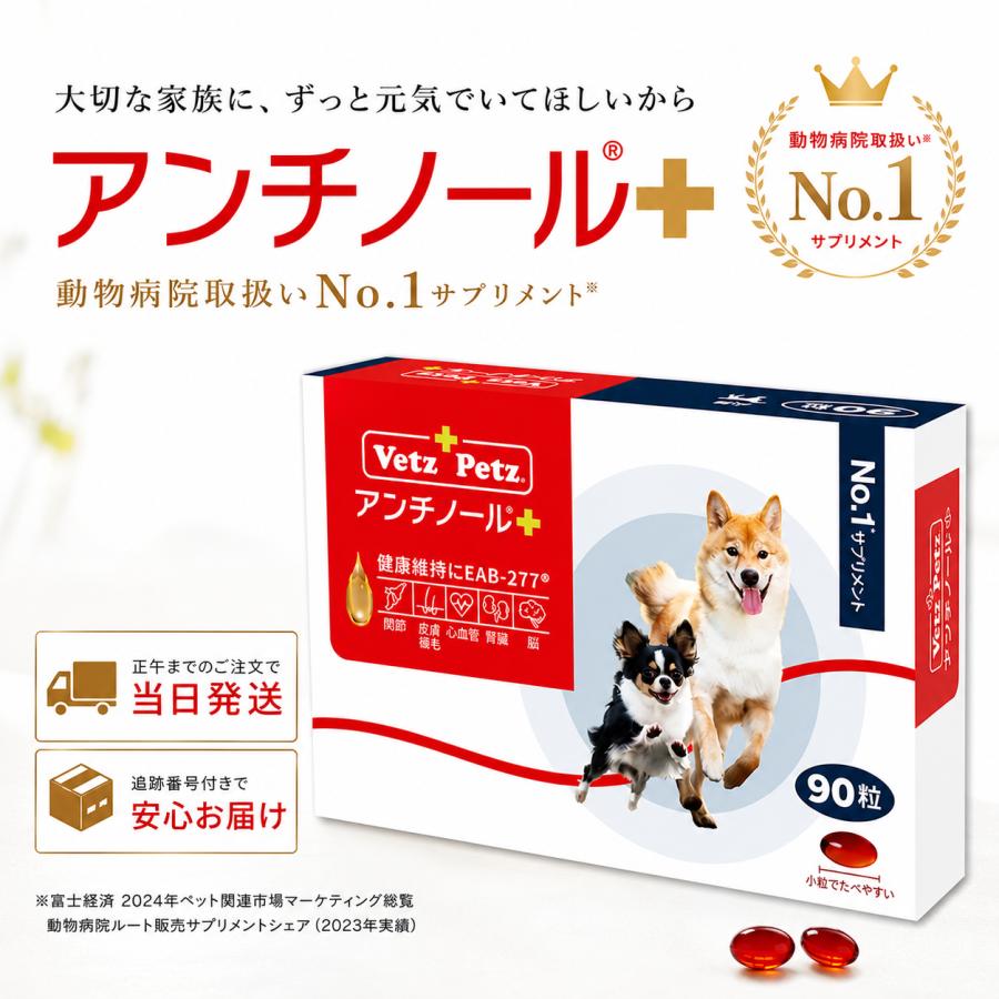 アンチノールプラス アンチノール 犬 90粒 犬用 プラス ペット サプリ ベッツペッツ Vetz Petz