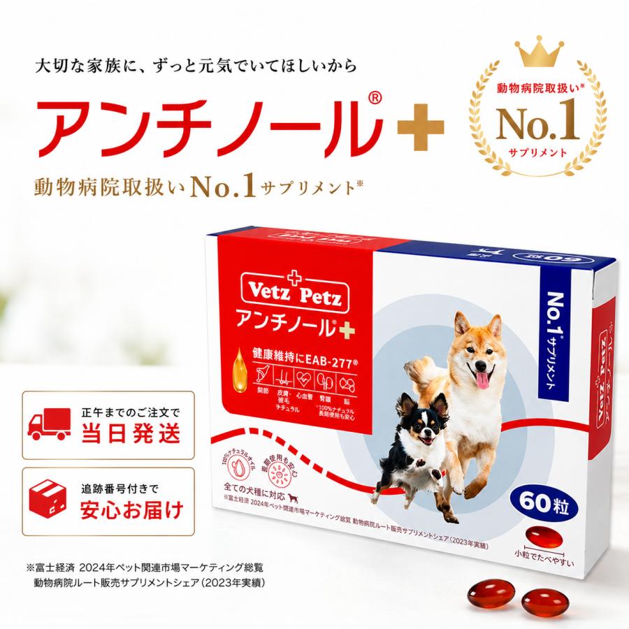 アンチノール プラス 犬用 60粒 サプリメント 犬 サプリ ベッツペッツ