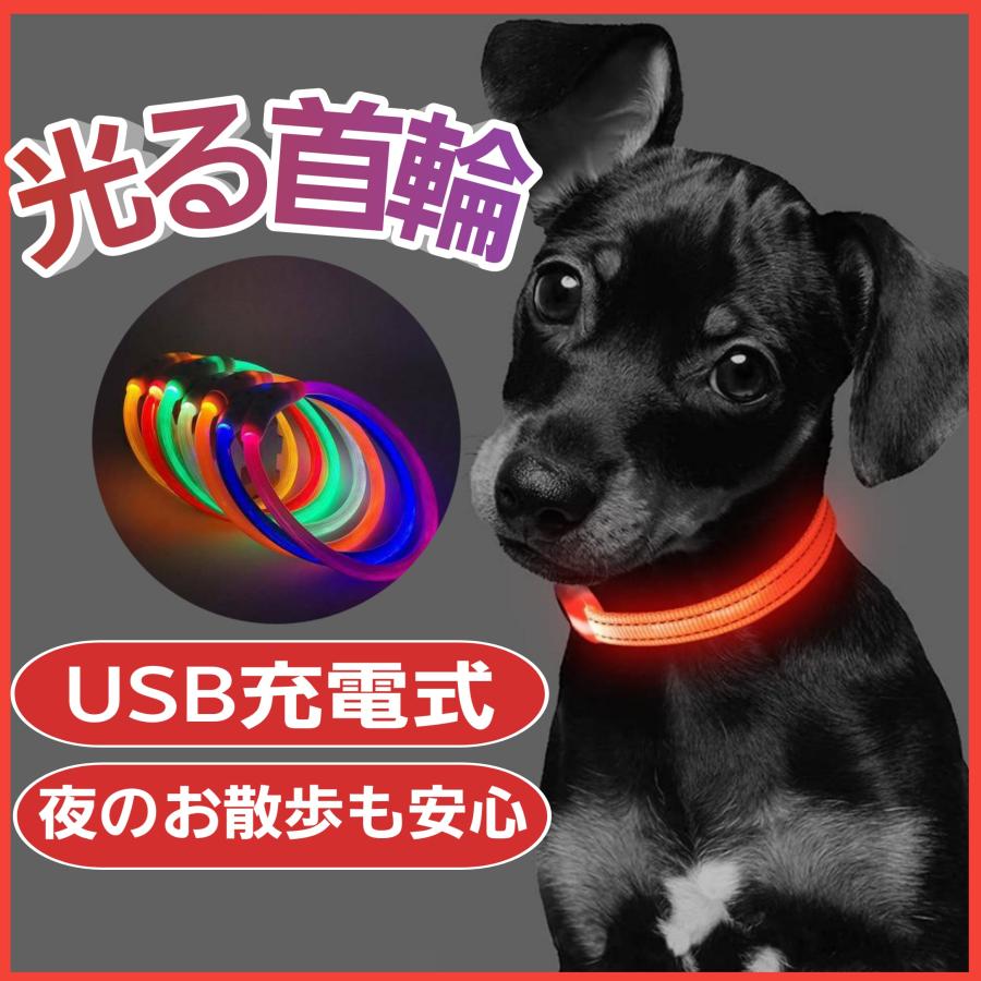 光る首輪 犬 首輪 おしゃれ 犬用 Led ライト 夜 散歩 Usb 充電式 長さ調整可 常時点灯 点滅 ペット用品 ペット 猫 首輪 A 187 H7 Wings 通販 Yahoo ショッピング