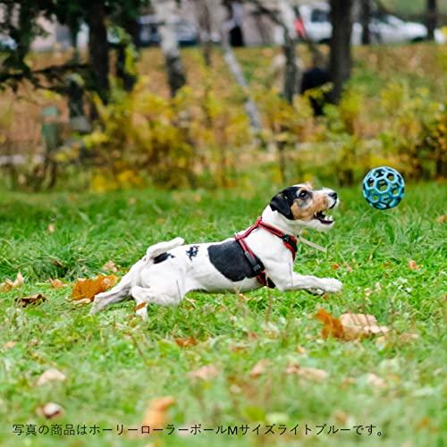 JW Pet Company 犬用おもちゃ ホーリーローラーボール オレンジ 犬 ミニ｜earth-c｜10