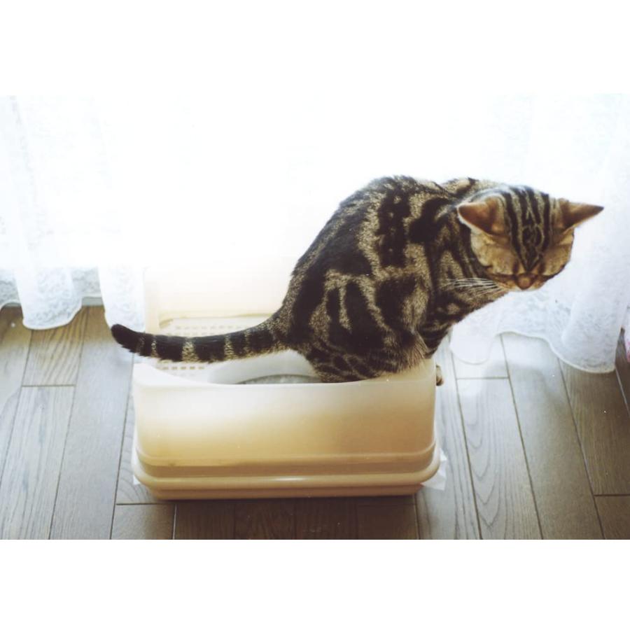 オーカッツ キャットワレコンパクトで便利な猫ちゃん用システムトイレ 