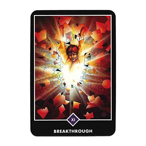 タロットカード 占い ミニ解説書付き Osho Zen Tarot 和尚禅 タロット
