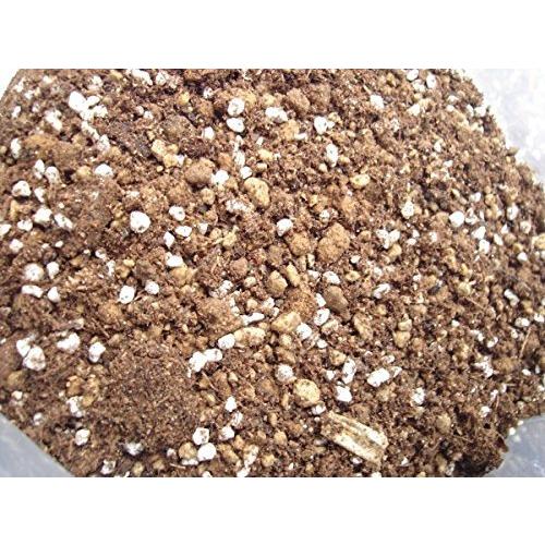 プロ仕様 多肉植物の土 業務用 5L : Earth Community - 通販 - Yahoo!ショッピング