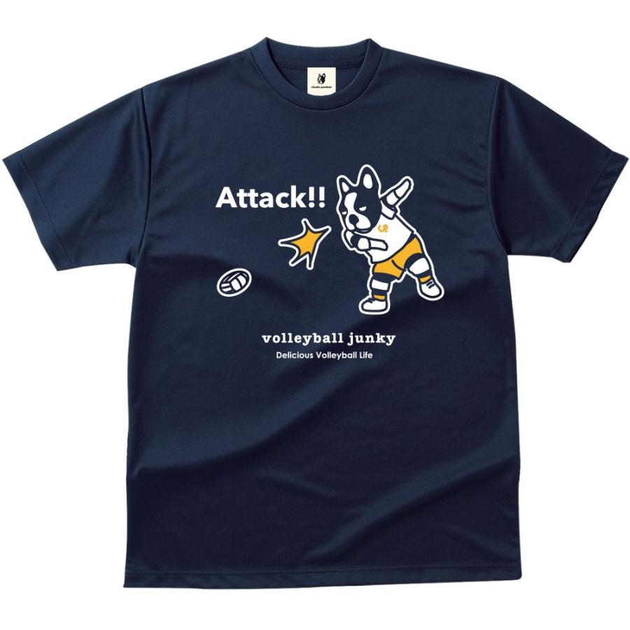 claudio pandiani (クラウディオパンディアーニ) Volleyball Junky アタックNO2 DryTEE VJ17005 ネイ