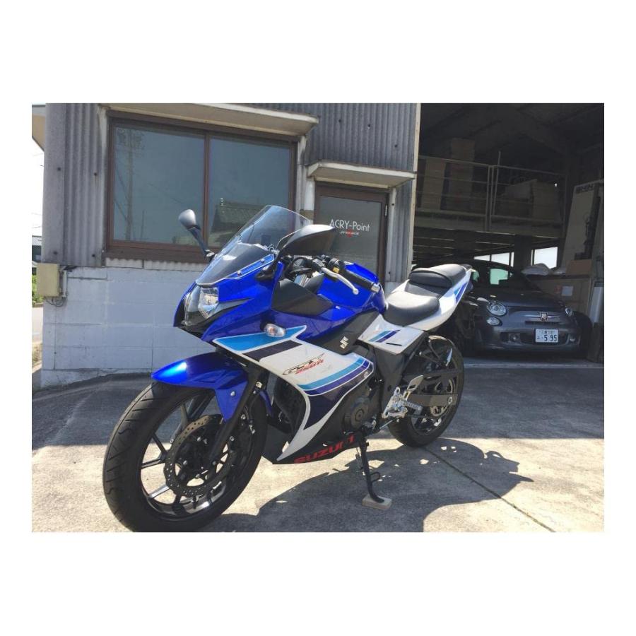 アクリポイント　gsx250r スクリーン アクリポイント ACRY-Point スクリーン ストリート [クリア