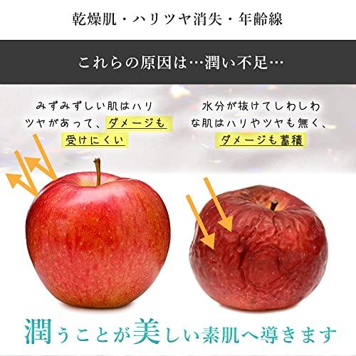 日本健康美容開発 ナチュレルSP ゲルクリーム PLUS エコ詰替え 550g｜earth-c｜04