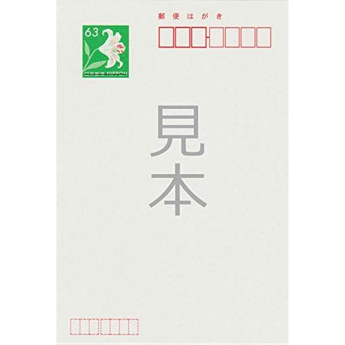 [メイドインたんたん] 年賀状じまい はがき 10枚 年賀状での挨拶をやめる 文章印刷済み (k829花（官製10枚）)｜earth-c｜02