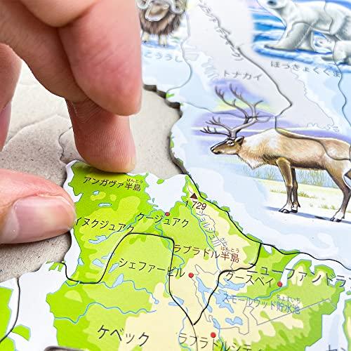 ジグソーパズル 地図 北アメリカ パズル 世界地図 学習パズル ジグゾーパズル 地理 生き物 小学生 知育玩具 6歳 知育 紙製 [ LARSEN (｜earth-c｜06