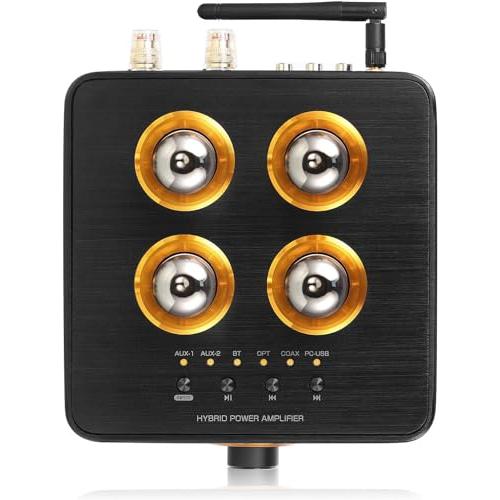 Nobsound 上位版 B100 Bluetooth 5.0 真空管アンプ USB DAC COAX