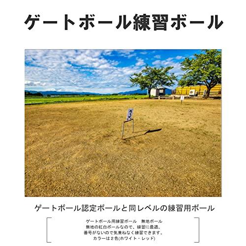 コクサイ(Kokusai) ゲートボール練習用ボール レッド PB01 : Earth