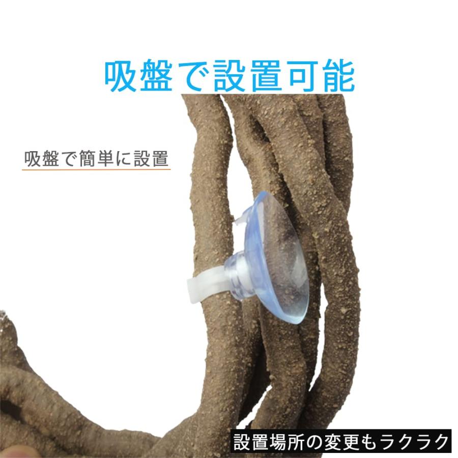 AZNABLE 爬虫類 木 木登り 木登り用枝 つた 人工植物 人工つる 遊び場 カメレオン トカゲ｜earth-c｜04