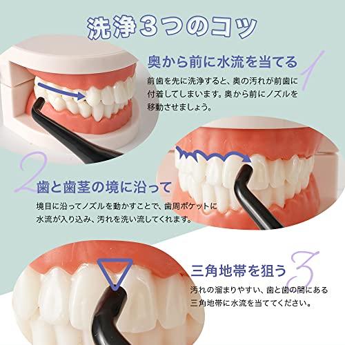 デンタルスプラッシュ Dental Splash タンク型 口腔洗浄器 ジェット水流 コードレス ウォーターフロス 口腔洗浄機 デンタルフロス マウス｜earth-c｜05