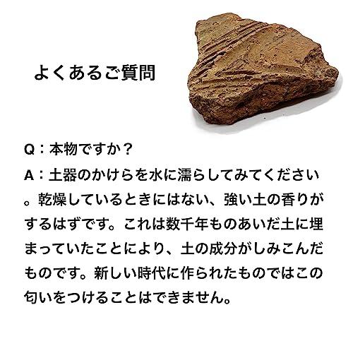 つくしサイエンス 縄文土器 破片 本物 青森産 歴史資料 縄文文化