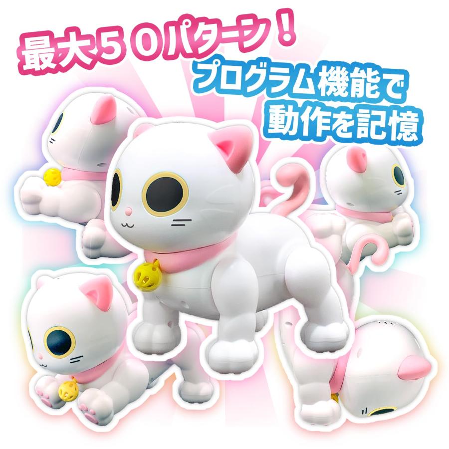 振動系ロボ　メリー&ハリー 振動系ロボ メリー&ハリー