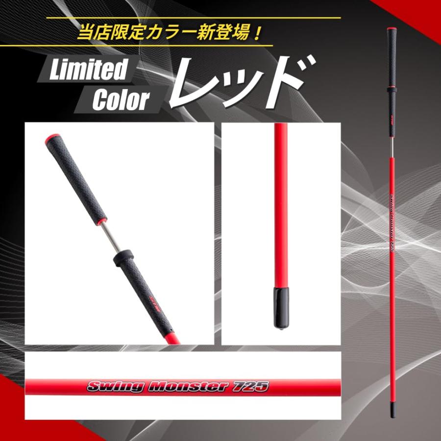 スイングモンスター725 ゴルフ スイング練習 練習器具 素振り