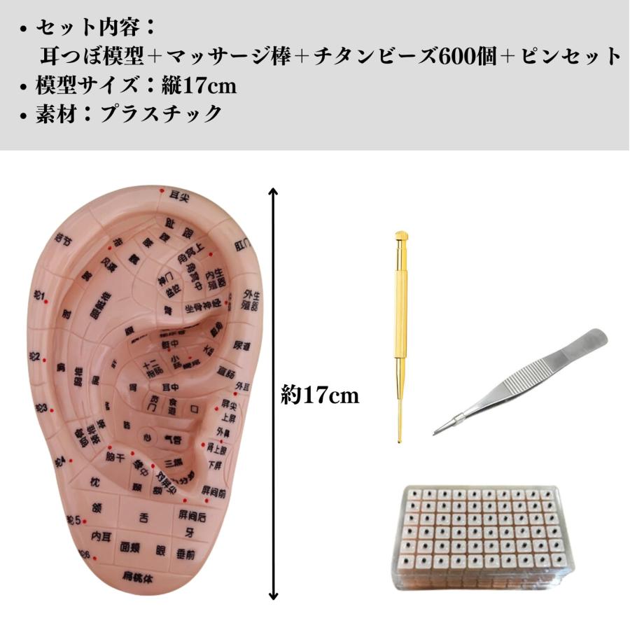 Quikaboo 耳ツボ 模型 立体模型 耳ツボ模型 耳つぼシール 17cm Quikaboo 耳ツボ 模型 立体模型 耳ツボ模型 耳つぼシール 17cm