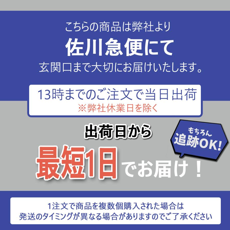 ナノックスワン 本体 プロ PRO 640 2本 セット｜earth-limit｜04