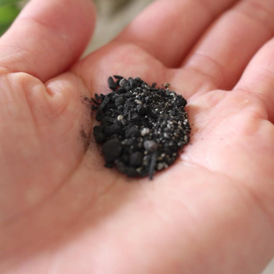 植物用ミネラル栄養剤 TSUCHITOCO 「ツチトコ」 プランター用 メール便 株式会社樹木新理論 |  | 03