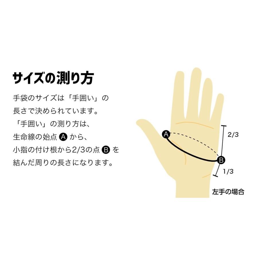 レディース（婦人）羊革手袋（グローブ）漆（讃岐漆芸）「彩（サイ）」シリーズ ストライプ錦 |  | 05
