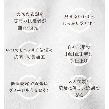宅配 クリーニング ハイクオリティコース 5点プラン Clenet（クリネット） さかえドライの画像