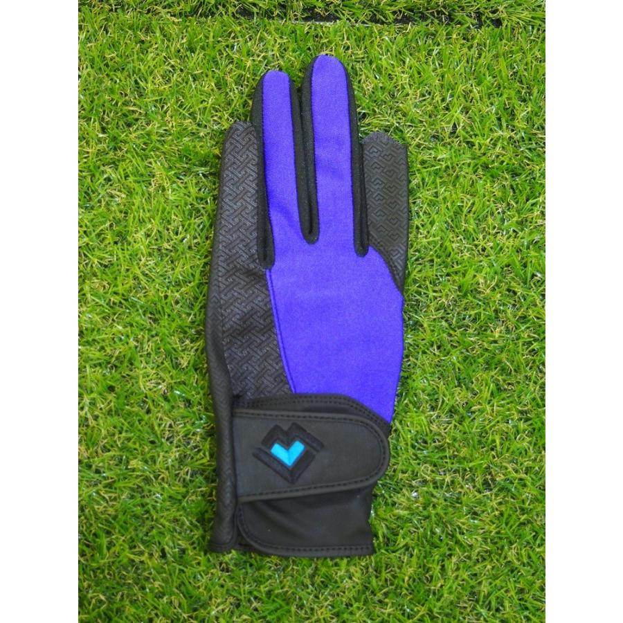 レガン グラウンドゴルフ 手袋 婦人用 スタンダードモデル 両手組 メール便 |  | 04