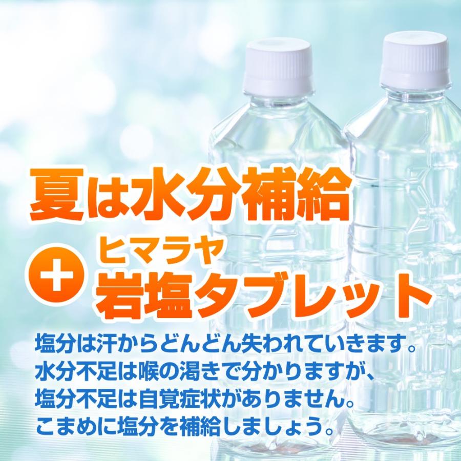 ヒマラヤ岩塩タブレット 携帯ケース入り 50錠×3個セット 【送料無料】（熱中対策グッズ・塩飴・熱中飴）業務用にも人気です！｜earth2001｜04