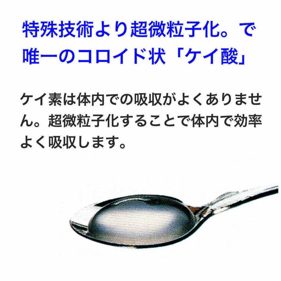 シリカ500ミリ 2本 シリシア 500ml 2本 ケイ素 シリカ ミネラル : アースクルYahoo!店