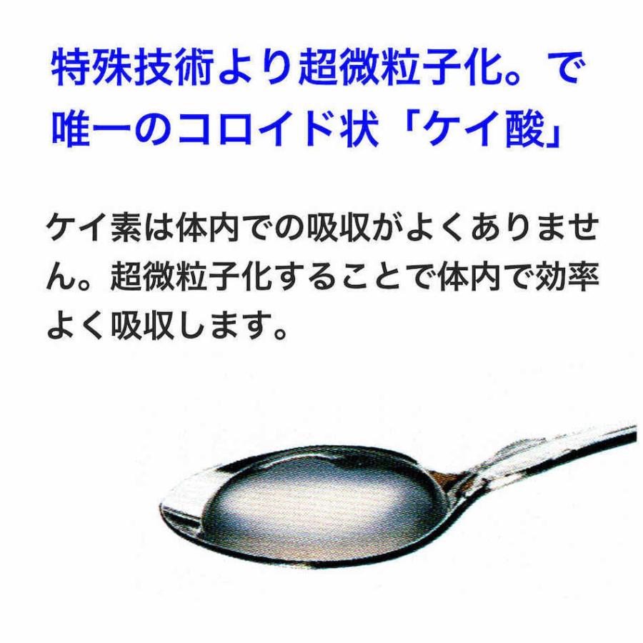 シリシア 500ml ケイ素 シリカ サプリメント : アースクルYahoo!店
