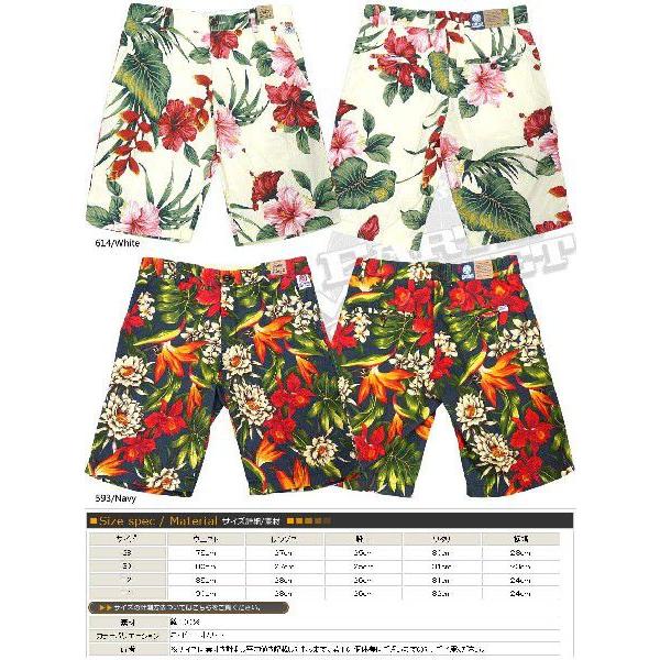 FRANKLIN & MARSHALL（フランクリンマーシャル） フランクリン