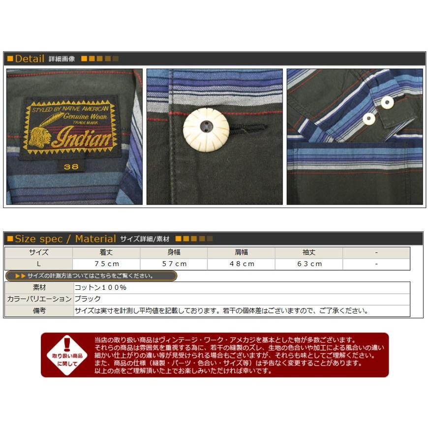 INDIAN MOTOCYCLE（インディアンモトサイクル） インディアンモーター