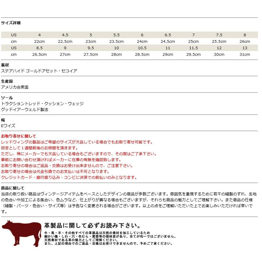 RED WING SHOES（レッドウィング） REDWING IRISH SETTER アイリッシュ