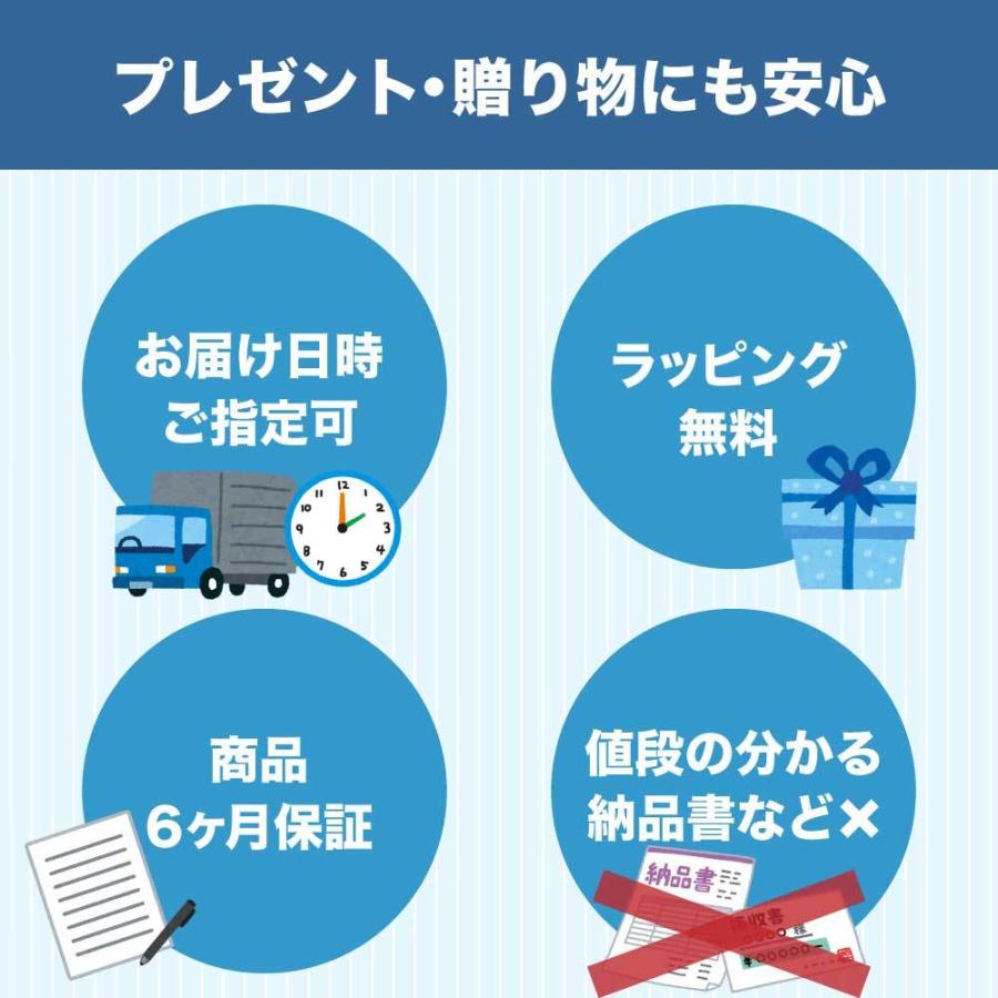 Kintone バランススクーター ミニセグウェイ クラシック 安心の6 Kintone バランススクーター ミニセグウェイ クラシック 安心の6