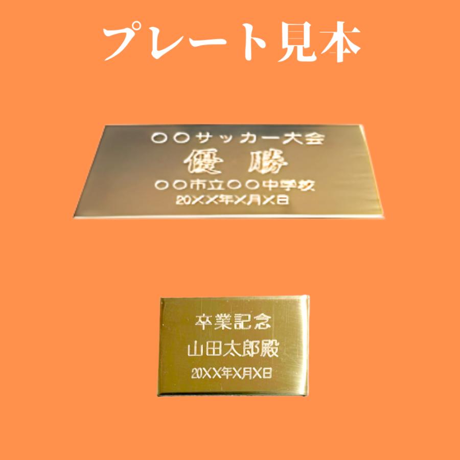 アーストロフィー 優勝カップ金属製W074 A〜Dサイズ【プレート彫刻無料】〔Aのみ白大理石付〕の画像