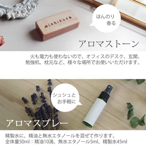 ease-aroma-shop（イーズアロマショップ） クラリセージ 100ml 精油