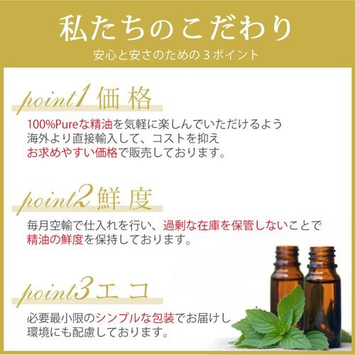 ペパーミント 10ml 精油 エッセンシャルオイル アロマオイル ペパーミントオイル ミント ハーブ AEAJ表示基準適合認定精油｜ease-aroma｜04