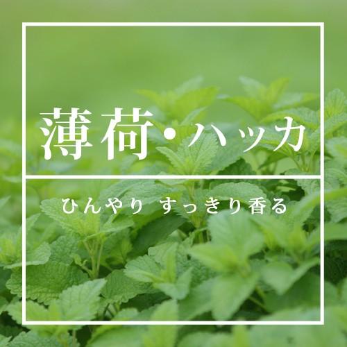 ハッカ精油　ハッカ 10ml☆薄荷 はっか ハッカ油　アロマ 虫除け 虫よけ ハーブ 植物 エッセンシャルオイル ミント☆メール便可☆｜ease-aroma｜02