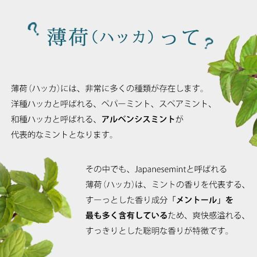 ハッカ精油　ハッカ 10ml☆薄荷 はっか ハッカ油　アロマ 虫除け 虫よけ ハーブ 植物 エッセンシャルオイル ミント☆メール便可☆｜ease-aroma｜06