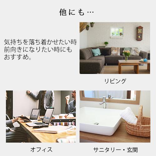 アロマスプレー 巡 meguru blend 30ml☆ 3月☆メール便可【12ヶ月のアロマスプレー】|ease-aroma|09