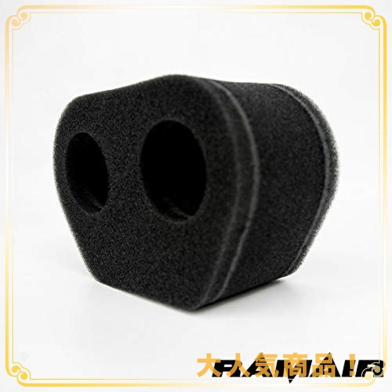 レビューを書けば送料当店負担】RAMAIR ラムエア 2個セット FCR,TMR,CR
